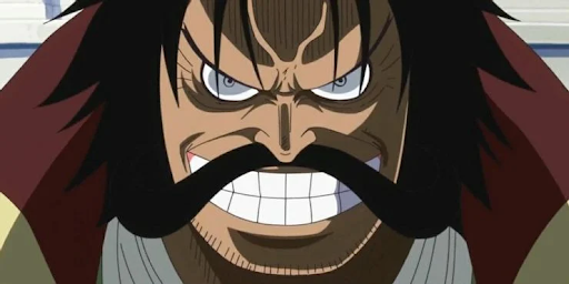 One Piece: 10 Facts You Didn't Know About The Will of D